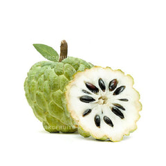 Custard apple Taiwan also known as Taiwan sugar apple
