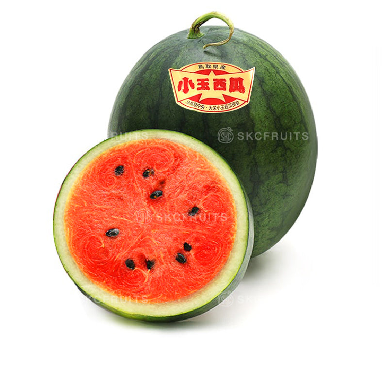 Daei Kodama Watermelon from Tottori Japan with green striped rind