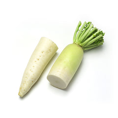Daikon radish also known as Japanese radish and white radish