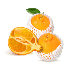 Dekopon orange price Japan premium citrus box with JA Oita label