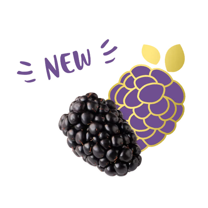 Driscoll's Sweetest Batch Blackberries Singapore premium blackberry fruit
