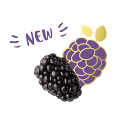 Driscoll's Sweetest Batch Blackberries Singapore premium blackberry fruit

