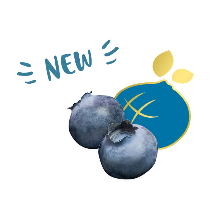 Driscoll's Sweetest Batch Blueberries 200g in Singapore