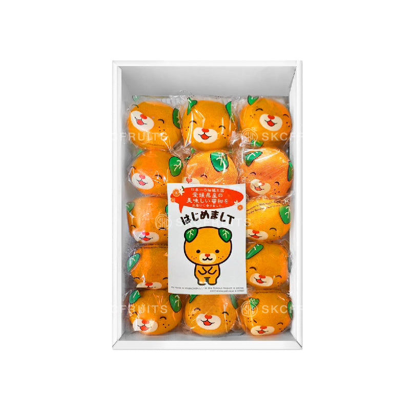 Ehime Mikan box with sweet easy peel Japanese citrus fruit