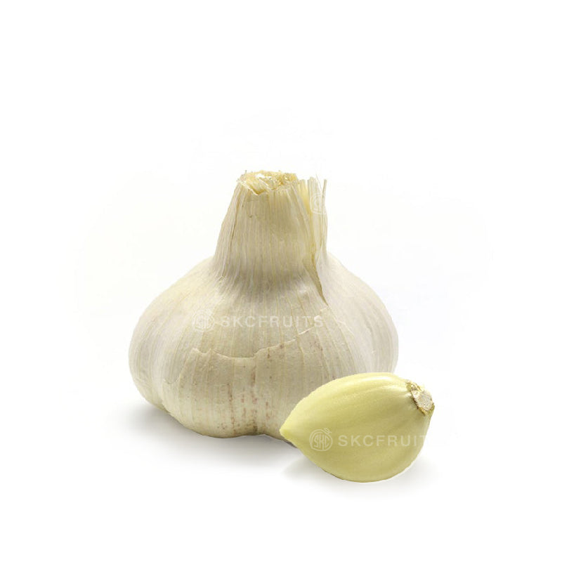 Fresh garlic bulb 大蒜头 with papery skin for everyday cooking