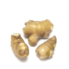 Fresh Ginger 生姜 with firm aromatic rhizomes for everyday cooking