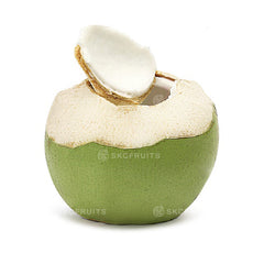Green Coconut from Malaysia for SKC Fruits Singapore
