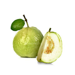 Guava fruit from Thailand with crisp white flesh