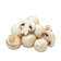 products/holland-white-button-mushrooms.jpg