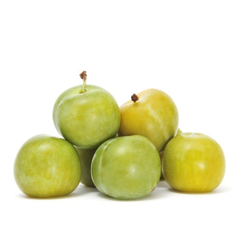 October Sun Plum