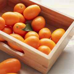 Japanese Kumquats Miyazaki Kinkan