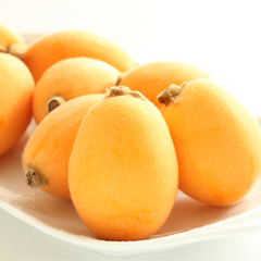 Pipa Loquats