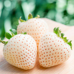 Awayuki Pink Strawberries