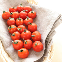 Cherry Tomatoes on Vine