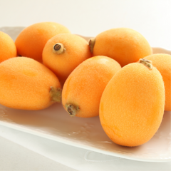 Japanese Nagasaki Biwa Loquats