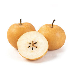 Imported Bing Tang Pear also known as Rock Sugar Pear