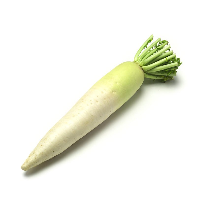 Japan Daikon White Radish with long white root for soups and oden