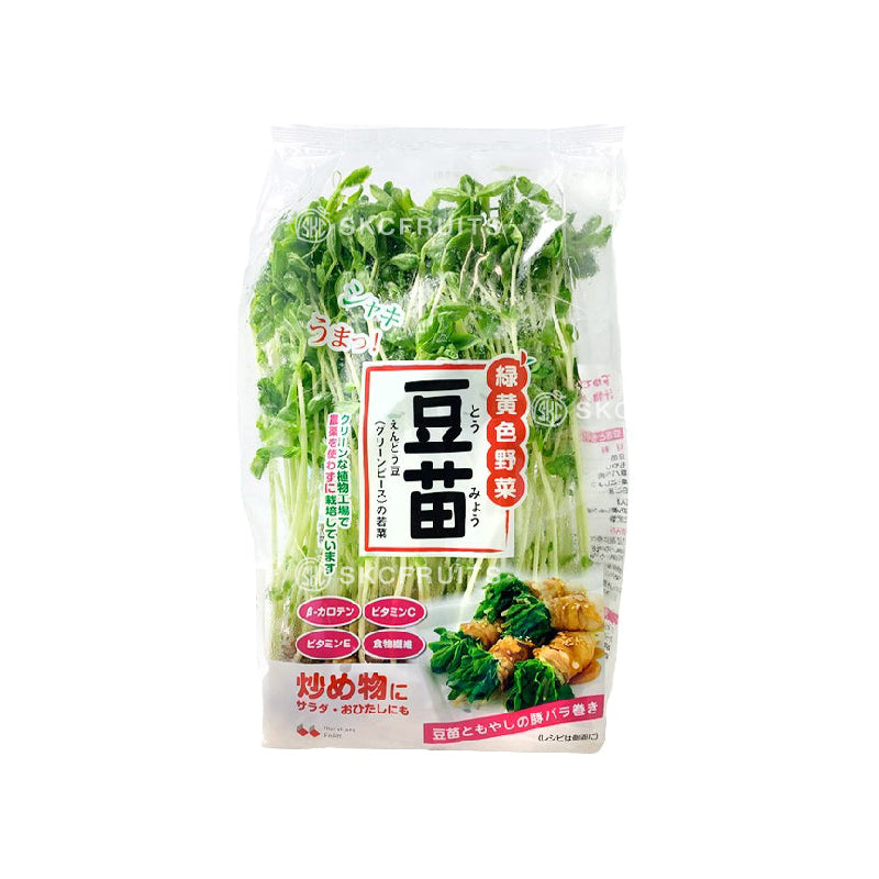 Japan Pea Sprouts also known as Dou Miao 豆苗 for stir-fries and soups