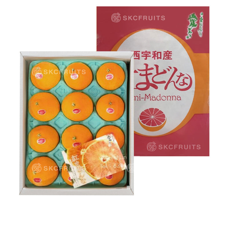 Japanese Beni Madonna Orange 紅まどんな in premium Ehime gift box packaging

