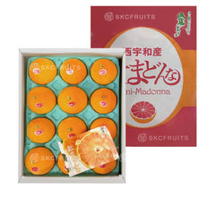 Japanese Beni Madonna Orange 紅まどんな in premium Ehime gift box packaging
