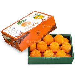 Japanese Ehime Mikan 愛媛蜜柑 in Made in Japan premium gift box packaging

