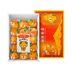 Japanese Ehime Mikan Orange Gift Box with individually wrapped fruit
