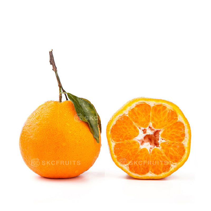Close-up of Japanese Gold Box Mikan 天下糖一 showing juicy premium citrus flesh
