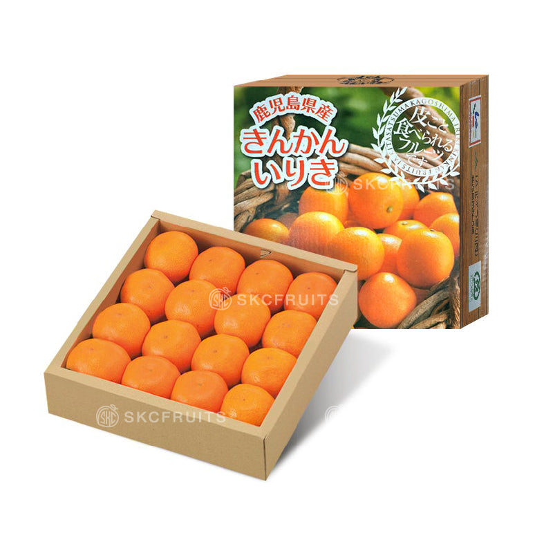 Japanese Iriki Kinkan きんかん いりき in premium Kagoshima gift box packaging
