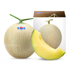 Japanese Kochi Emerald Muskmelon with premium netted rind