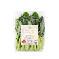 Japanese Komatsuna Mustard Spinach 小松菜 with tender leaves and crunchy stems
