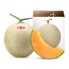 Japanese Kumamoto Orange Muskmelon with fine netted rind