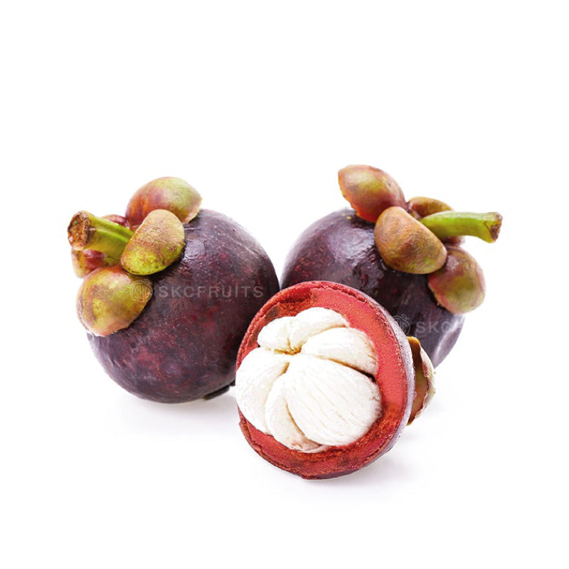 Japanese Mangosteen also known as Fukugi fruit from Japan