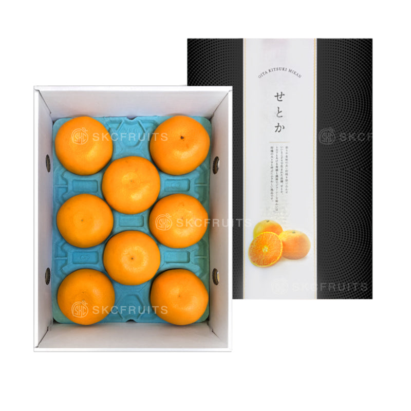 Japanese Oita Kitsuki Setoka せとか in premium gift box packaging
