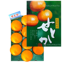 Japanese Saga Setoka せとか in premium Saga Prefecture gift box packaging
