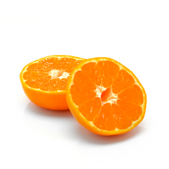 Close-up of Japanese Saga Setoka せとか showing juicy premium citrus flesh
