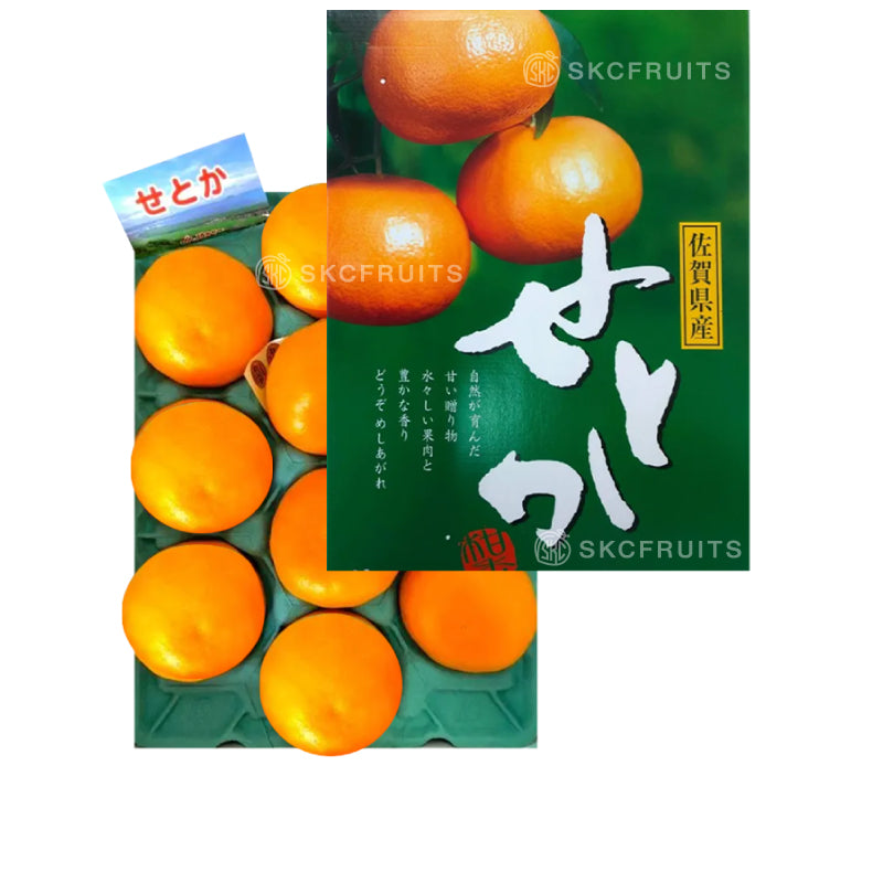 Japanese Saga Setoka Orange gift box with premium Japanese citrus