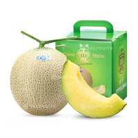 Japanese Shizuoka Crown Melon with premium netted rind