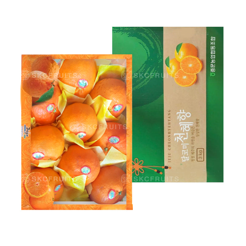 Jeju Orange Cheon Hye Hyang Jeju Tangerines in premium Korean citrus packaging
