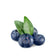 products/jumbo-blueberries-singapore-punnet.jpg