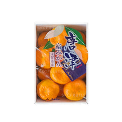 Karatsu Mikan gift box with JA Karatsu Japanese citrus