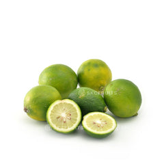 Key Lime 500g from Vietnam with lime green citrus skin