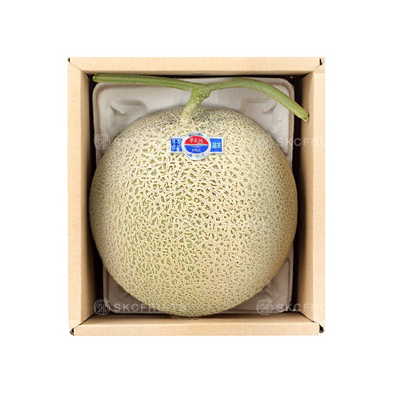 Cut open Kochi Emerald Melon showing juicy green flesh