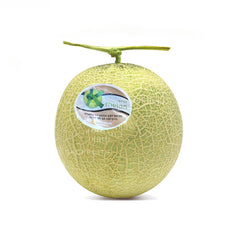 Cut open Korea melon showing juicy muskmelon flesh and melon seeds