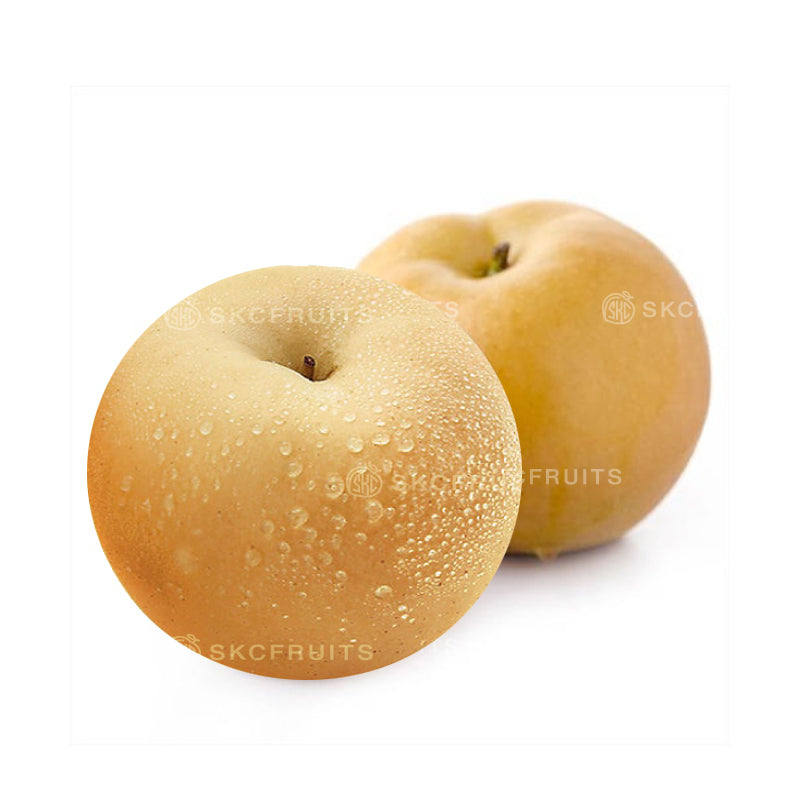 Korean pear fruit with pale brown speckled skin and juicy flesh