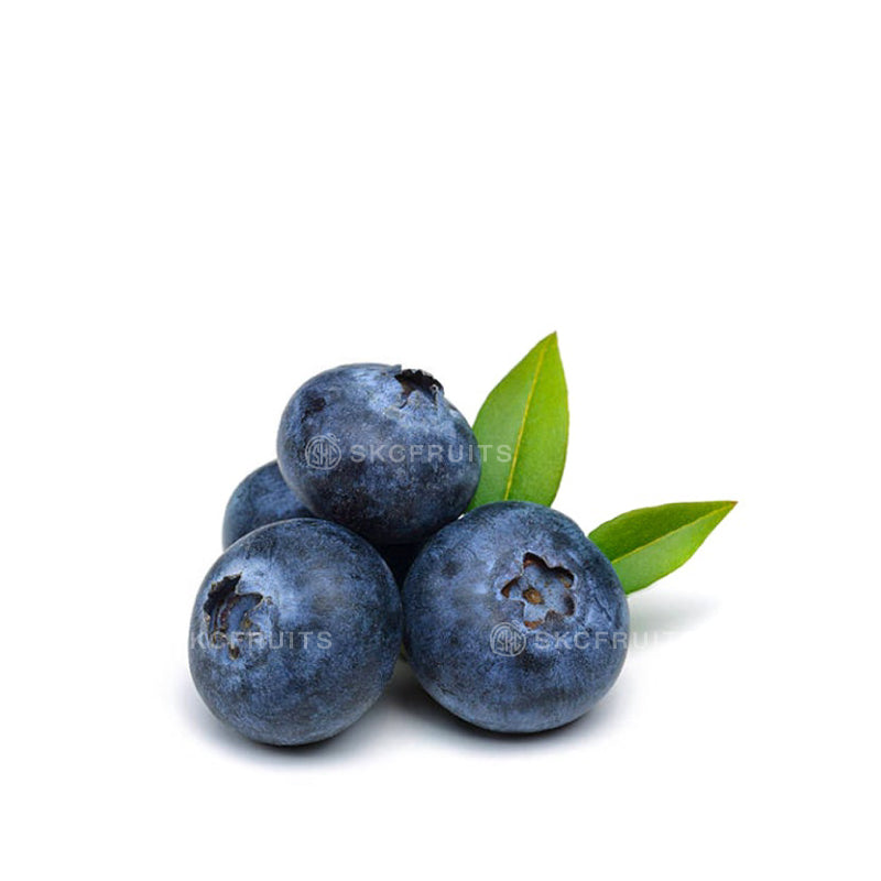Large jumbo blueberries with crisp juicy texture