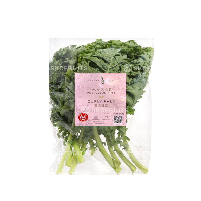 Local Indoor Curly Kale 羽衣甘蓝 with fresh frilly green leaves