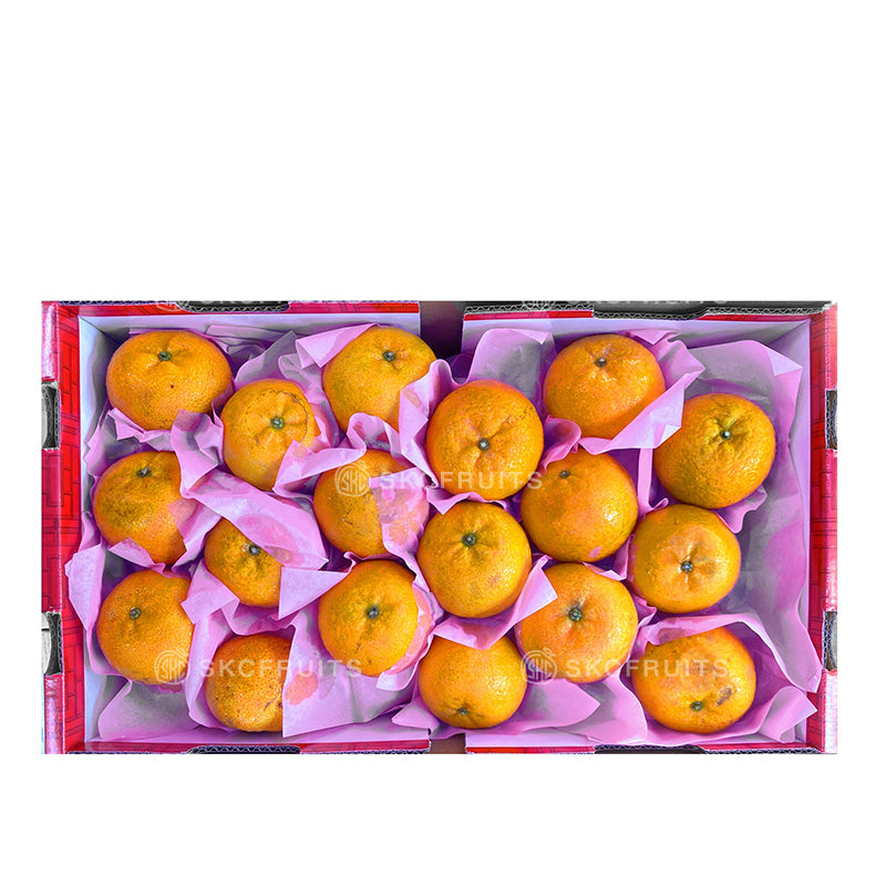Close-up of Long Men Swatow Jiao Gan Oranges 龙门蕉柑 showing large bright citrus flesh
