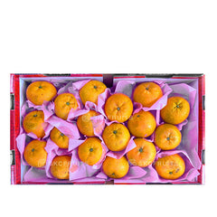Close-up of Long Men Swatow Jiao Gan Oranges 龙门蕉柑 showing large bright citrus flesh
