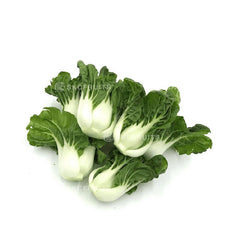 Malaysia Baby Nai Bai 小奶白 with tender leaves and crisp pale stems