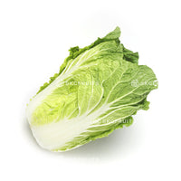 Malaysia Wong Bok Cabbage with long pale green Chinese cabbage leaves